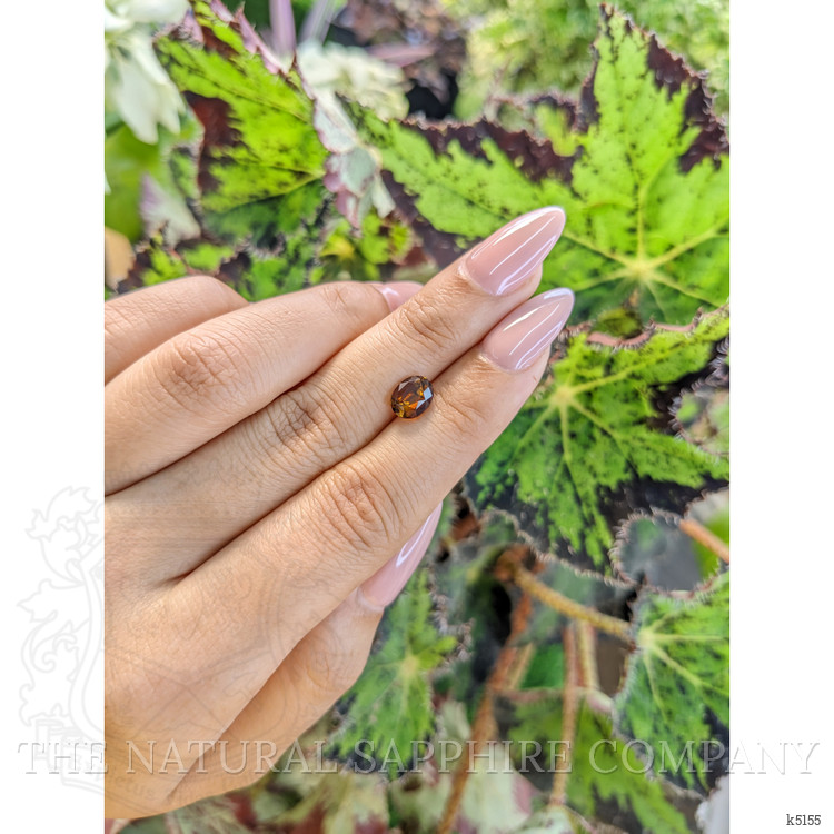 1.64 Ct. Tourmaline from Ceylon (Sri Lanka)