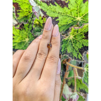 1.64 Ct. Tourmaline from Ceylon (Sri Lanka) Life Style