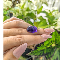 11.37 Ct. Cabochon Amethyst from Brazil Life Style