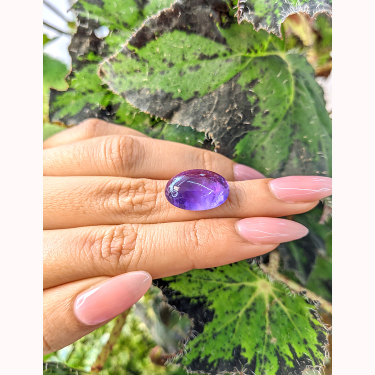 11.33 Ct. Cabochon Amethyst from Brazil