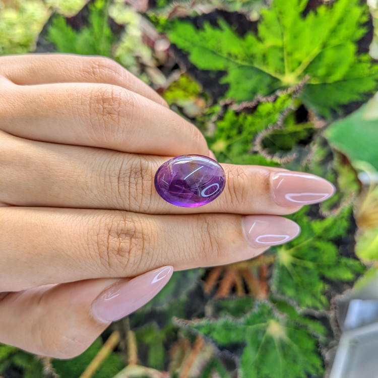 12.16 Ct. Cabochon Amethyst from Brazil