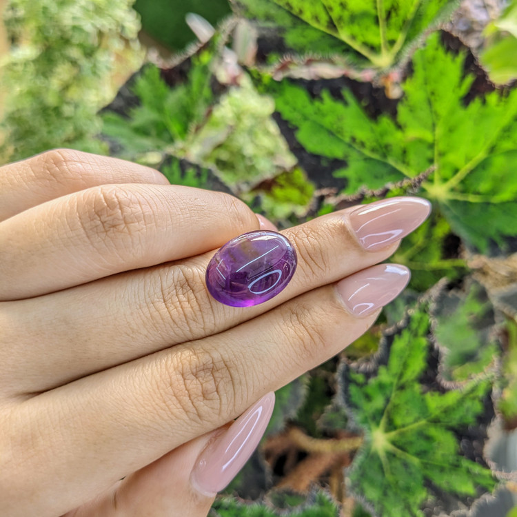 12.16 Ct. Cabochon Amethyst from Brazil