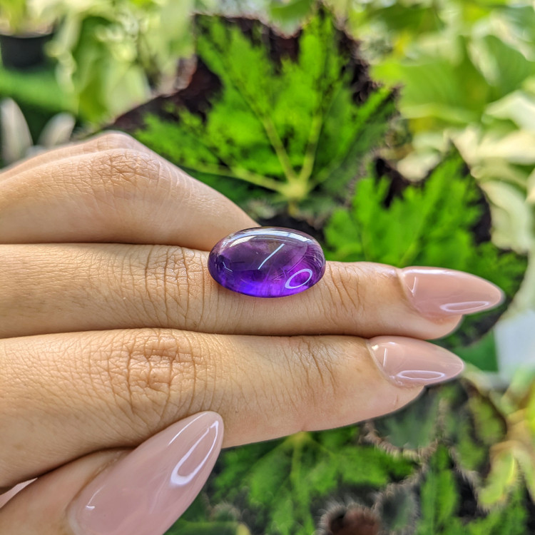 12.16 Ct. Cabochon Amethyst from Brazil
