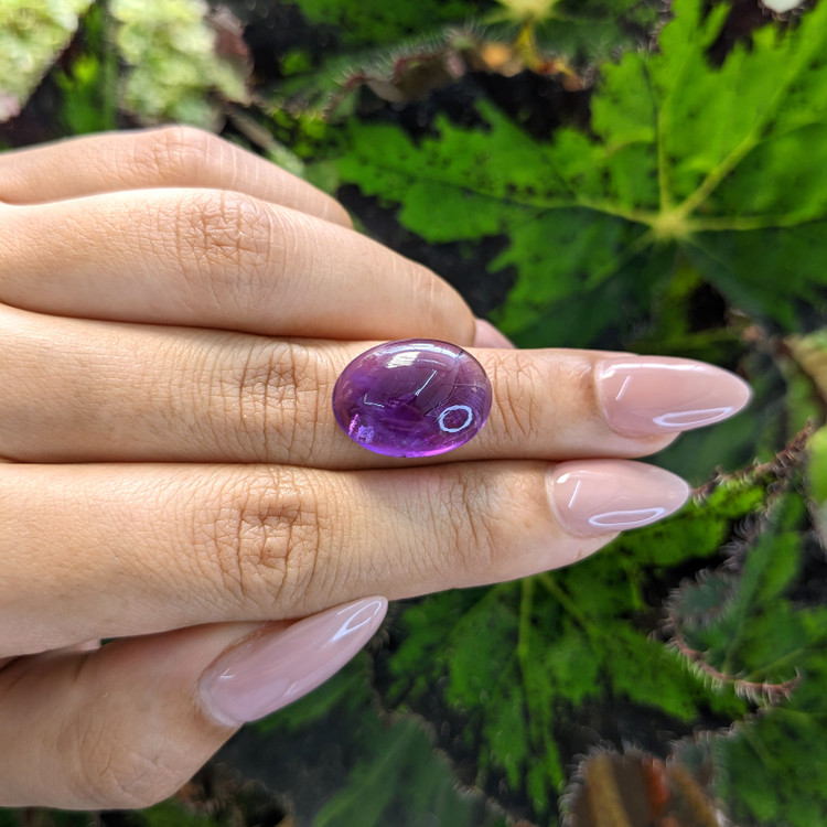 11.84 Ct. Cabochon Amethyst from Brazil