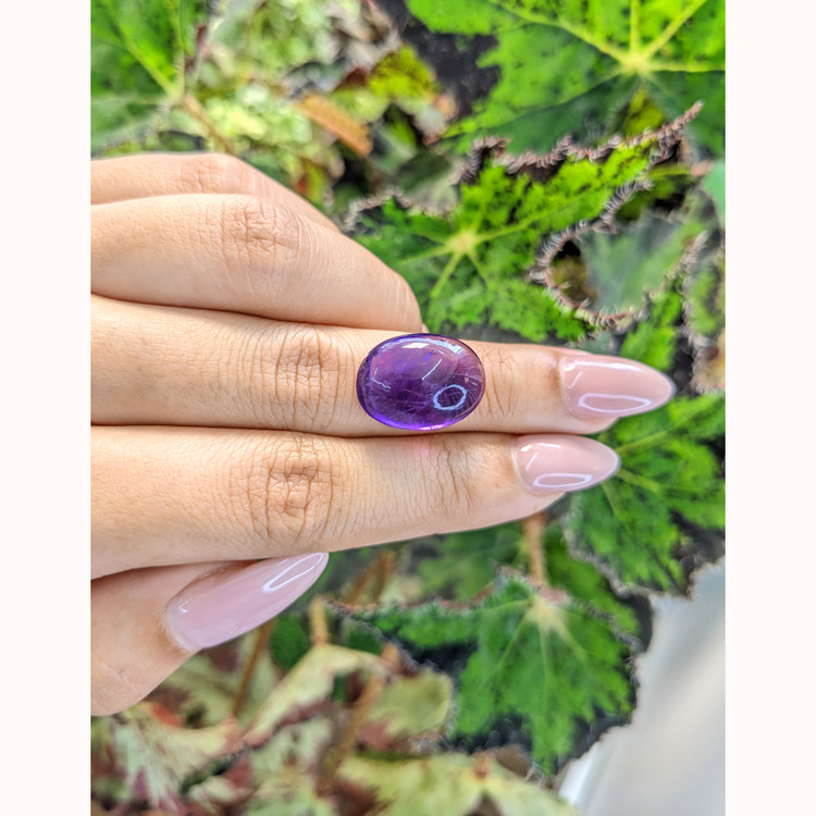 11.60 Ct. Cabochon Amethyst from Brazil