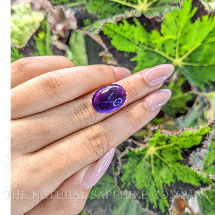 12.54 Ct. Cabochon Amethyst from Brazil