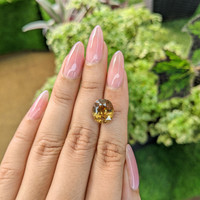 9.25 Ct. Zircon from Ceylon (Sri Lanka) Life Style