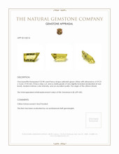 33.98 Ct. Citrine from Brazil Appraisal