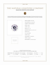Jewelry Scan Report