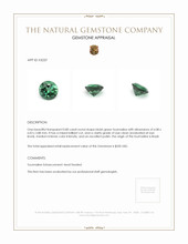 0.80 Ct. Tourmaline from Brazil Appraisal