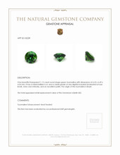 1.12 Ct. Tourmaline from Brazil Appraisal
