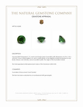 1.31 Ct. Green Tourmaline from Brazil Appraisal