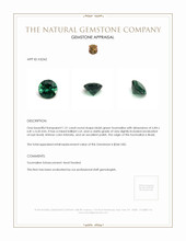 1.21 Ct. Tourmaline from Brazil Appraisal