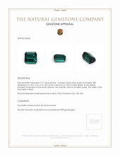 2.71 Ct. Tourmaline from Brazil Appraisal