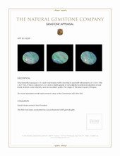 3.13 Ct. Black Opal from Ethiopia Appraisal
