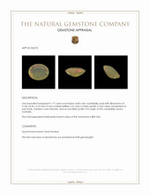 1.77 Ct. Multi Color Crystal/Jelly Opal from Australia Appraisal