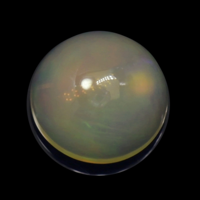 1.30 Ct. Cabochon Crystal/Jelly Opal from Australia Video