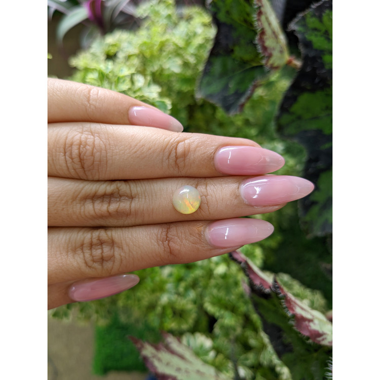 1.30 Ct. Cabochon Crystal/Jelly Opal from Australia