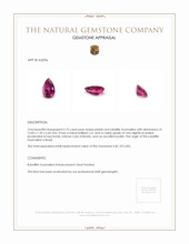 2.75 Ct. Rubellite Tourmaline from Brazil Appraisal