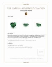 2.92 Ct. Tourmaline from Brazil Appraisal