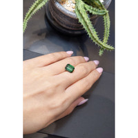 3.86 Ct. Tourmaline from Brazil Life Style
