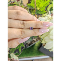 0.61 Ct. Spinel from Ceylon (Sri Lanka) Life Style