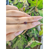 0.99 Ct. Spinel from Ceylon (Sri Lanka) Life Style
