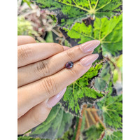 1.24 Ct. Spinel from Ceylon (Sri Lanka) Life Style