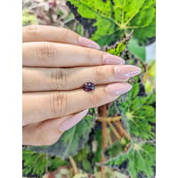 1.24 Ct. Spinel from Ceylon (Sri Lanka) Life Style