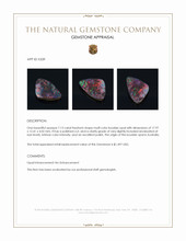 7.13 Ct. Multi Color Boulder Opal (Ironstone Opal) from Australia Appraisal
