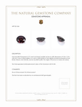 3.37 Ct. Zircon from Ceylon (Sri Lanka) Appraisal