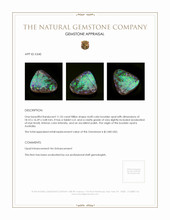 11.55 Ct. Boulder Opal from Australia Appraisal