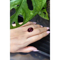7.64 Ct. Rubellite Tourmaline from Mozambique Life Style
