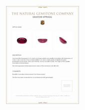 3.76 Ct. Rubellite Tourmaline from Mozambique Appraisal