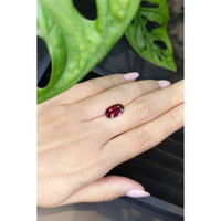 3.76 Ct. Rubellite Tourmaline from Mozambique Life Style