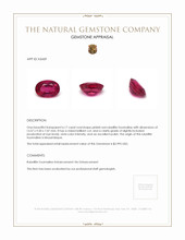 6.17 Ct. Rubellite Tourmaline from Mozambique Appraisal