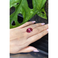 10.57 Ct. Rubellite Tourmaline from Mozambique Life Style