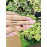 2.48 Ct. Garnet from Ceylon (Sri Lanka) Life Style