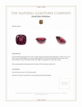 0.96 Ct. Garnet from Ceylon (Sri Lanka) Appraisal