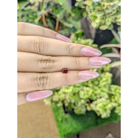 0.73 Ct. Garnet from Ceylon (Sri Lanka) Life Style