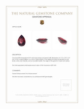 0.99 Ct. Garnet from Ceylon (Sri Lanka) Appraisal