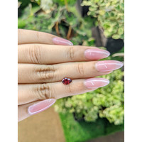 0.99 Ct. Garnet from Ceylon (Sri Lanka) Life Style