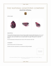 0.90 Ct. Garnet from Ceylon (Sri Lanka) Appraisal