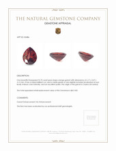 0.70 Ct. Garnet from Ceylon (Sri Lanka) Appraisal