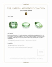 19.08 Ct. Tourmaline from Mozambique Appraisal