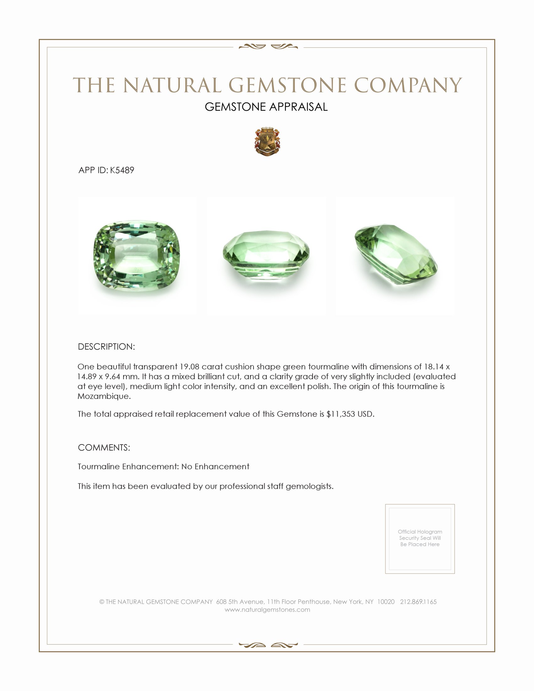 19.08 Ct. Tourmaline from Mozambique