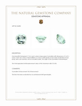 17.56 Ct. Green Tourmaline from Mozambique Appraisal