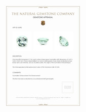 17.56 Ct. Tourmaline from Mozambique Appraisal