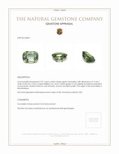9.37 Ct. Tourmaline from Mozambique Appraisal