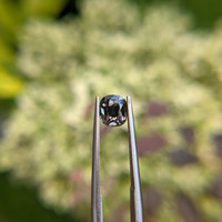 1.22 Ct. Garnet from Ceylon (Sri Lanka) Life Style